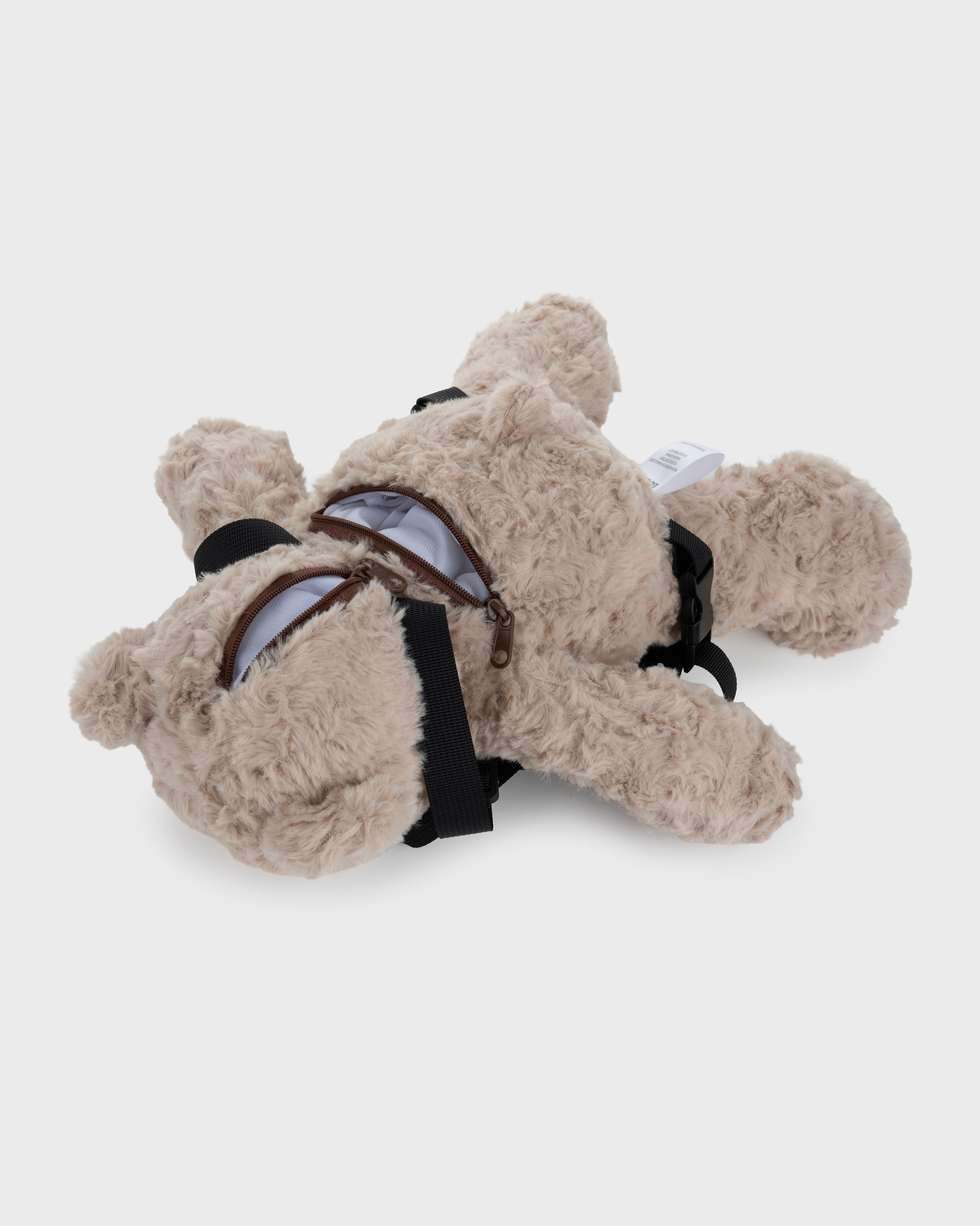 Teddy Bear Back Pack